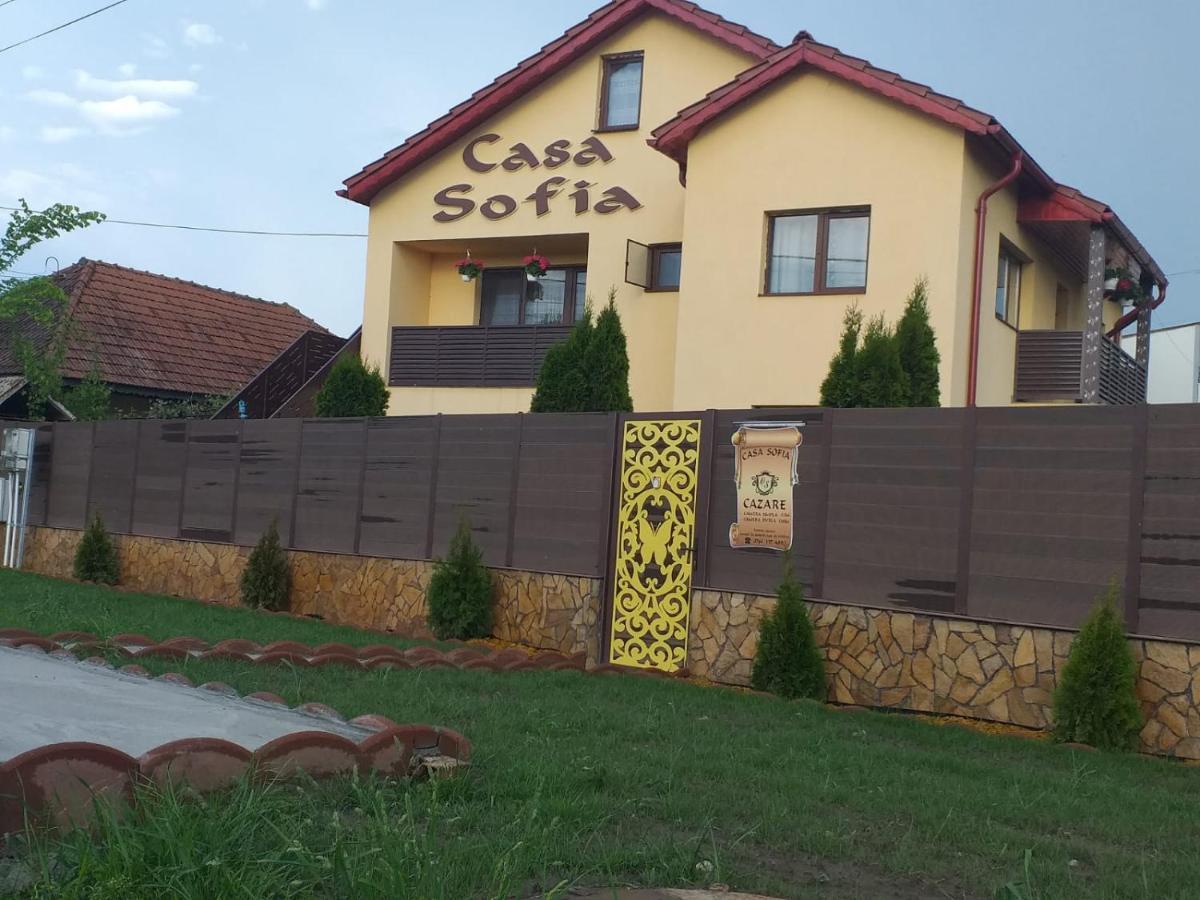 Casa Sofia Hotel Târgu Jiu Exterior photo